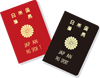 Passport Image